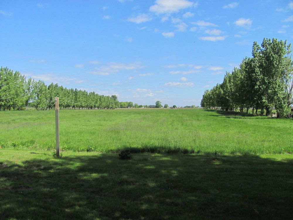 Countryside Bed & Breakfast Niagara-on-the-Lake Εξωτερικό φωτογραφία